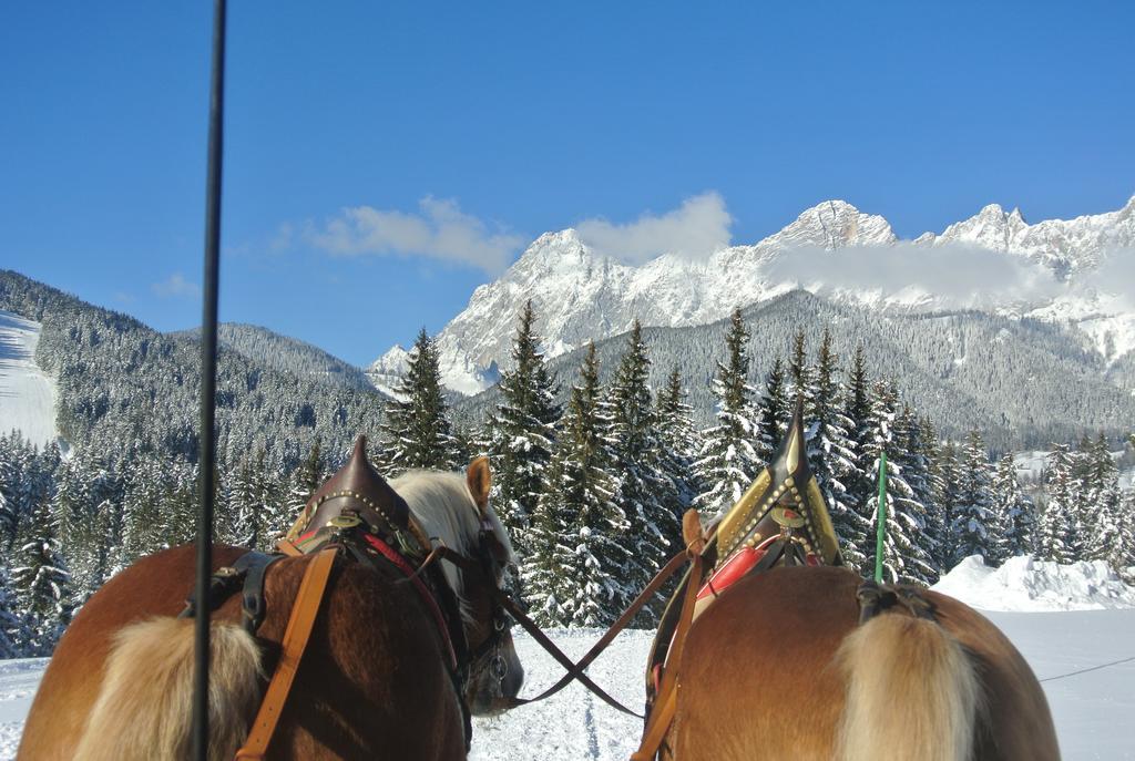 Pension Bergpracht Ramsau am Dachstein Bagian luar foto